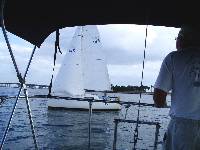 Giving them a Little Rum for their money?