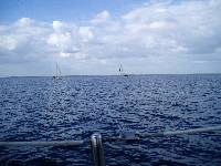 I don't think this is what is meant by "racing against each other"!