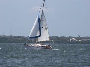 100_2317.jpg (30060 bytes)