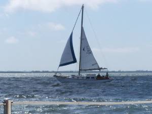 100_2319.jpg (30552 bytes)