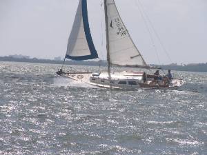 IMG_0459.JPG (70927 bytes)