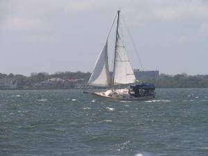 IMG_0462.JPG (40276 bytes)