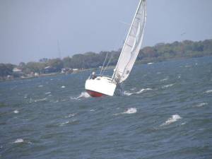 IMG_0500.JPG (42469 bytes)