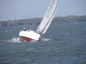 IMG_0501.JPG (48028 bytes)