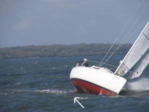 IMG_0502.JPG (41989 bytes)