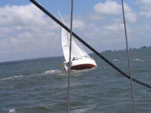 IMG_0504.JPG (44240 bytes)