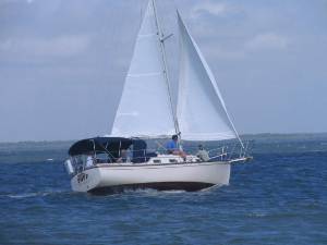 IMG_0513.JPG (39804 bytes)