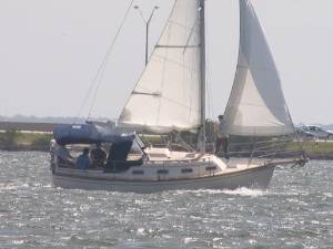 Img_0474.jpg (38452 bytes)